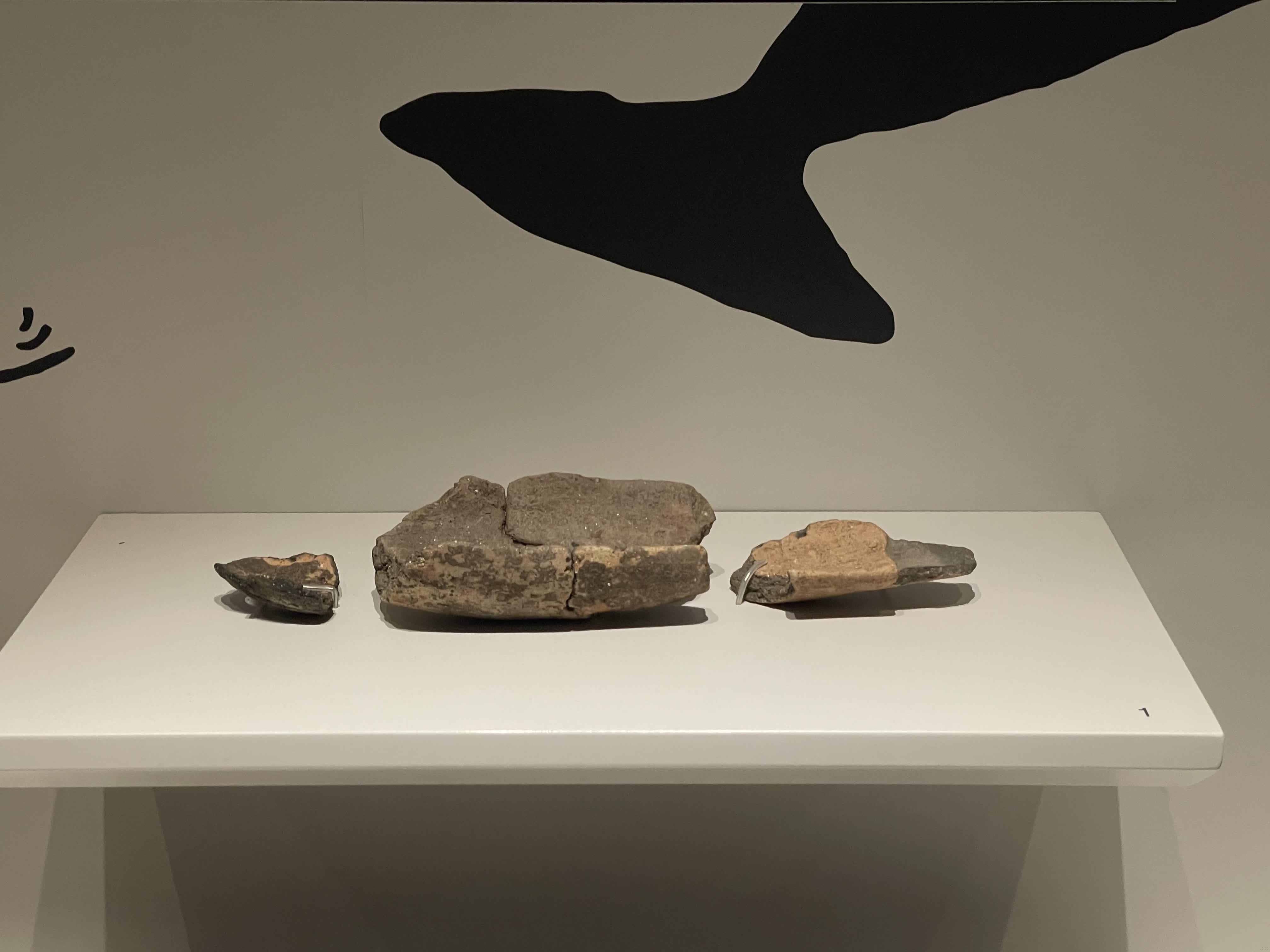La Culture Maritime de l'Âge Néolithique